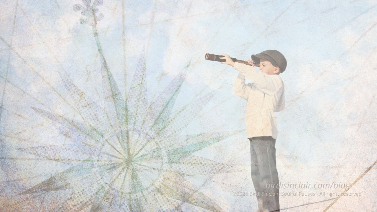 compass rose and person with telescope